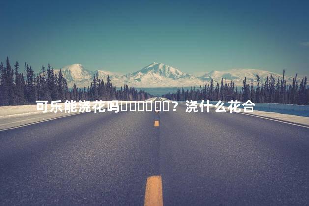 可乐能浇花吗？浇什么花合适的